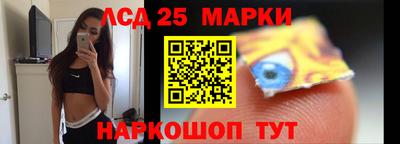 крисы Шелехов