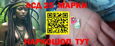 крисы Шелехов