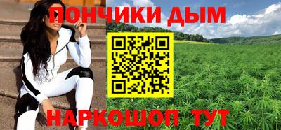 крисы Шелехов