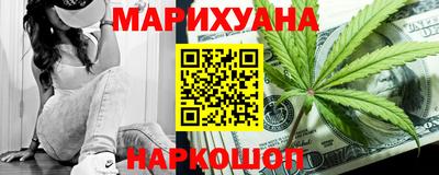 крисы Шелехов