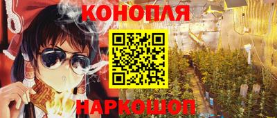 крисы Шелехов