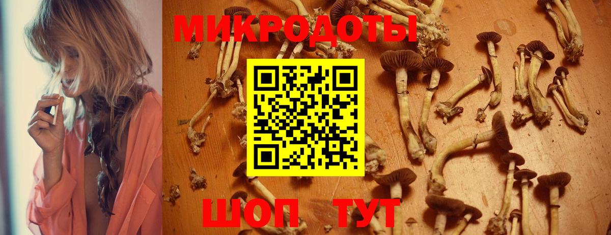 Псилоцибиновые грибы Cubensis  Псилоцибиновые грибы прущие грибы  Егорьевск  Вход с VPN 